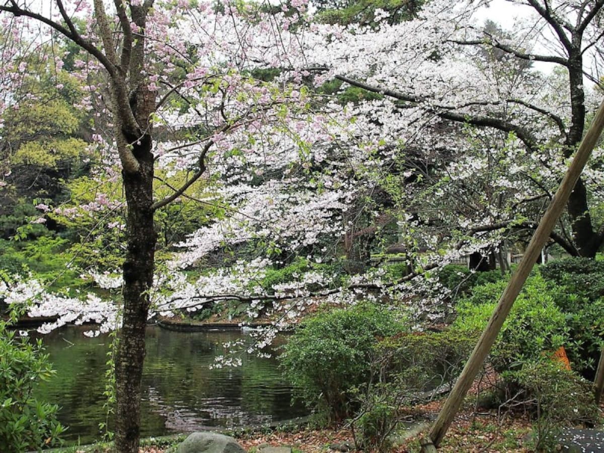 今は人口の池がつくられている。