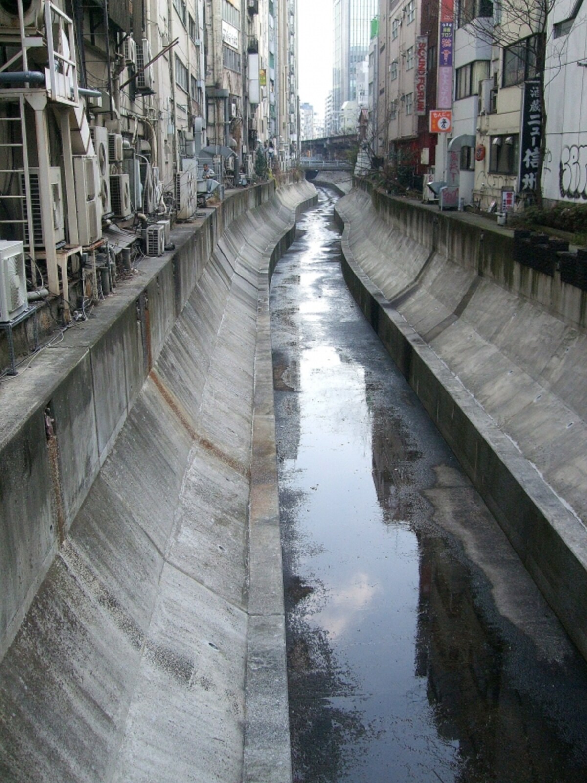 暗渠から表にでてきたところ