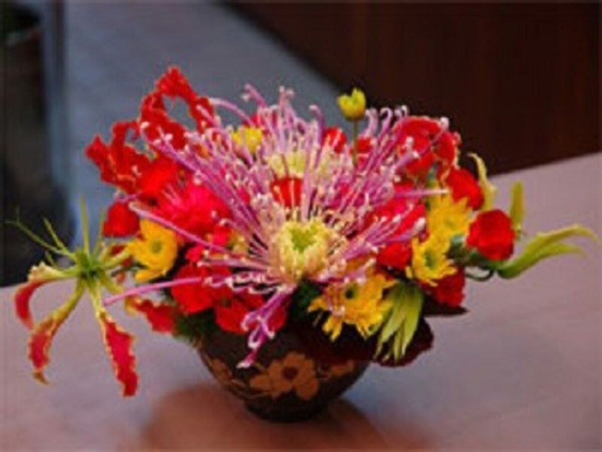 9月9日・重陽の節句・菊の節句　オリエンタルな菊