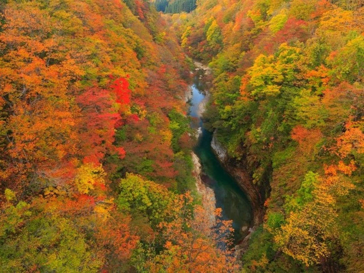 昼間お日様を浴びて夜は冷え込み、水分も豊富。3拍子揃った渓谷は、紅葉も見事！