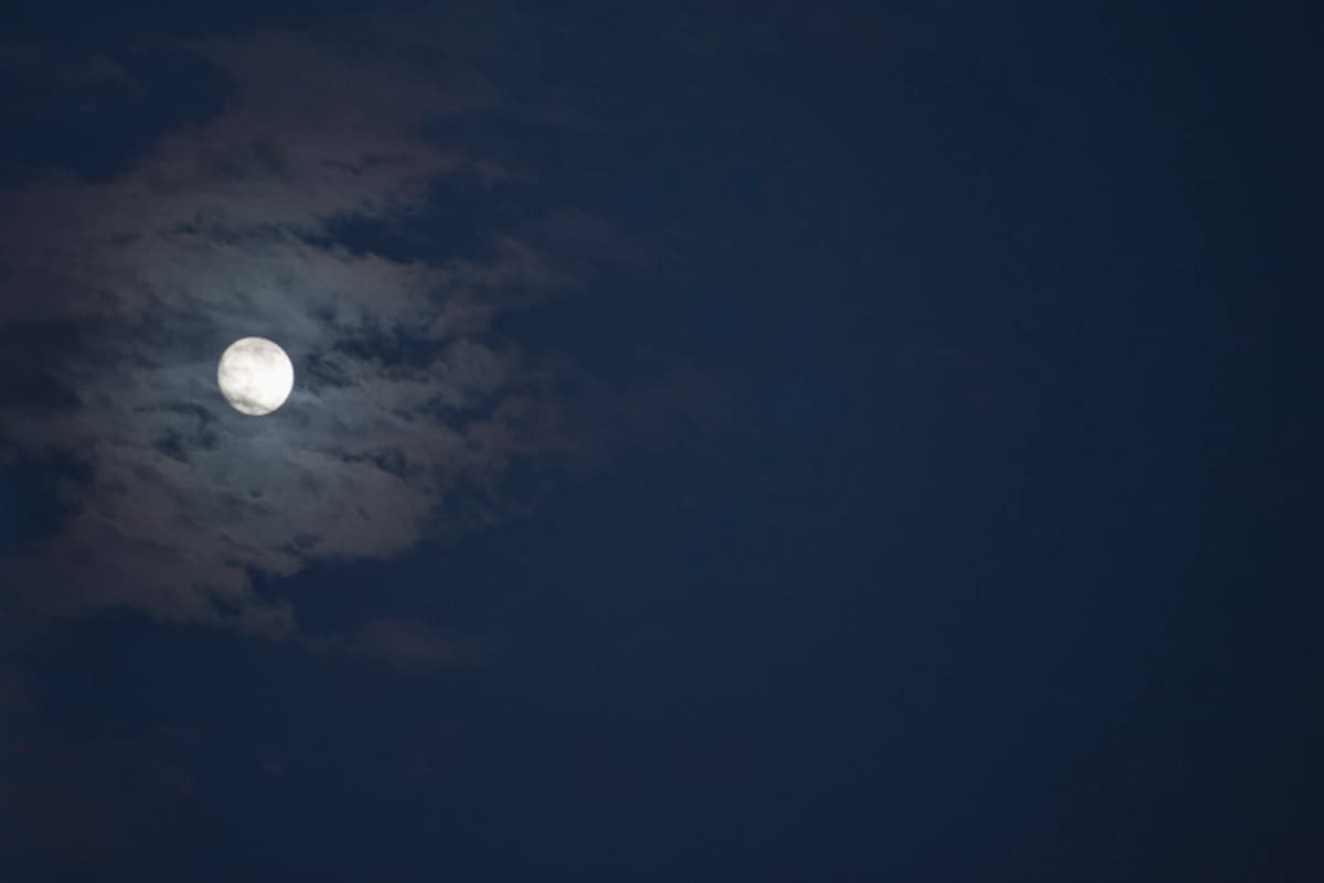 お月見クイズ　十五夜クイズ　9月クイズ