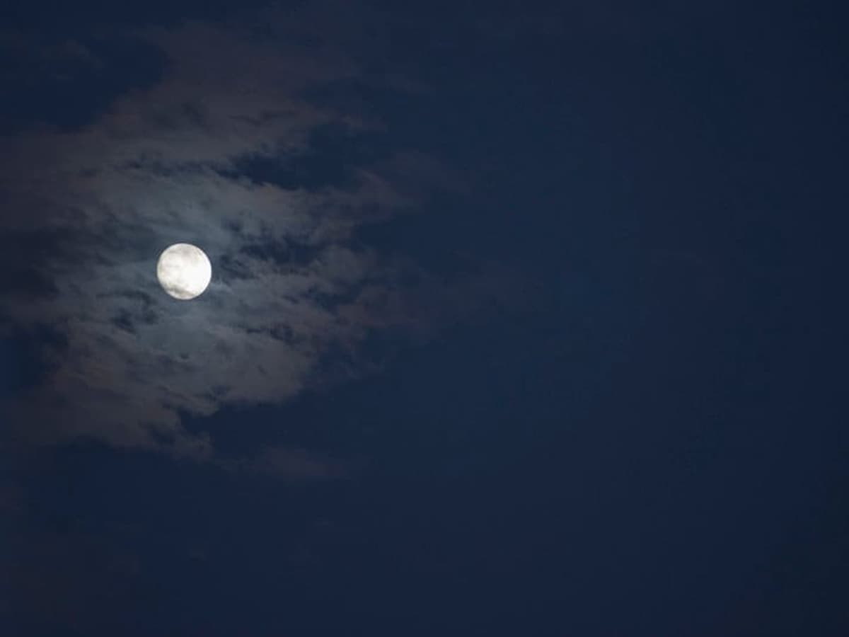 お月見・十五夜の常識クイズ
