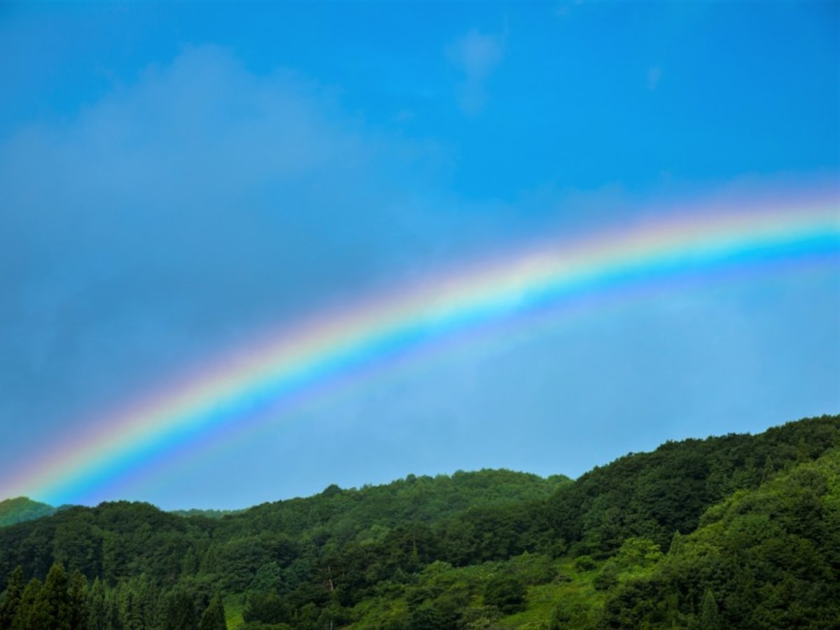 「朝虹は雨、夕虹は晴れ」 虹は太陽を背にしてできます。朝の虹は西のほうで降る雨に東から太陽があたってできるため、やがて東のほうで雨になる前兆。夕方の虹はこの逆で、雨は既に去っており晴れの前兆…という日本のことわざです