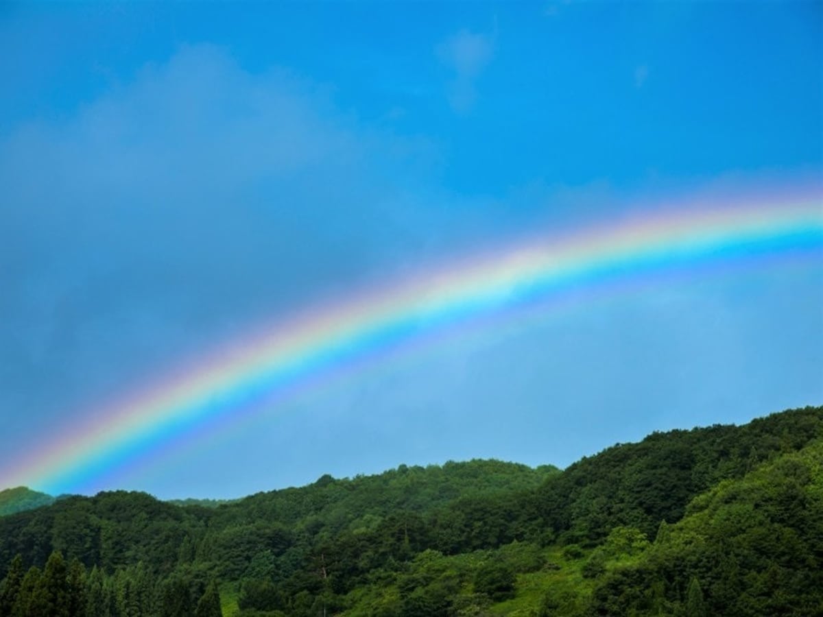 「朝虹は雨、夕虹は晴れ」　虹は太陽を背にしてできます。朝の虹は西のほうで降る雨に東から太陽があたってできるため、やがて東のほうで雨になる前兆。夕方の虹はこの逆で、雨は既に去っており晴れの前兆……という日本のことわざです