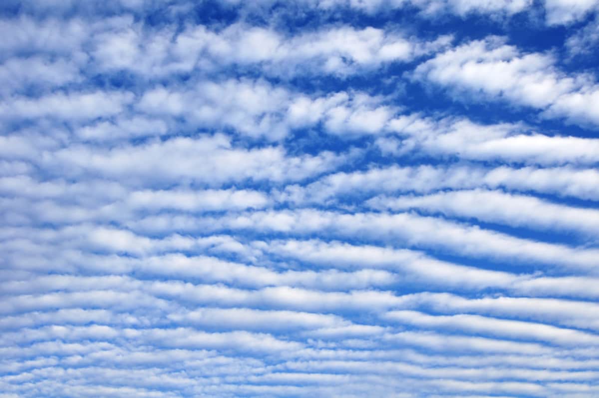 秋の雲：さば雲