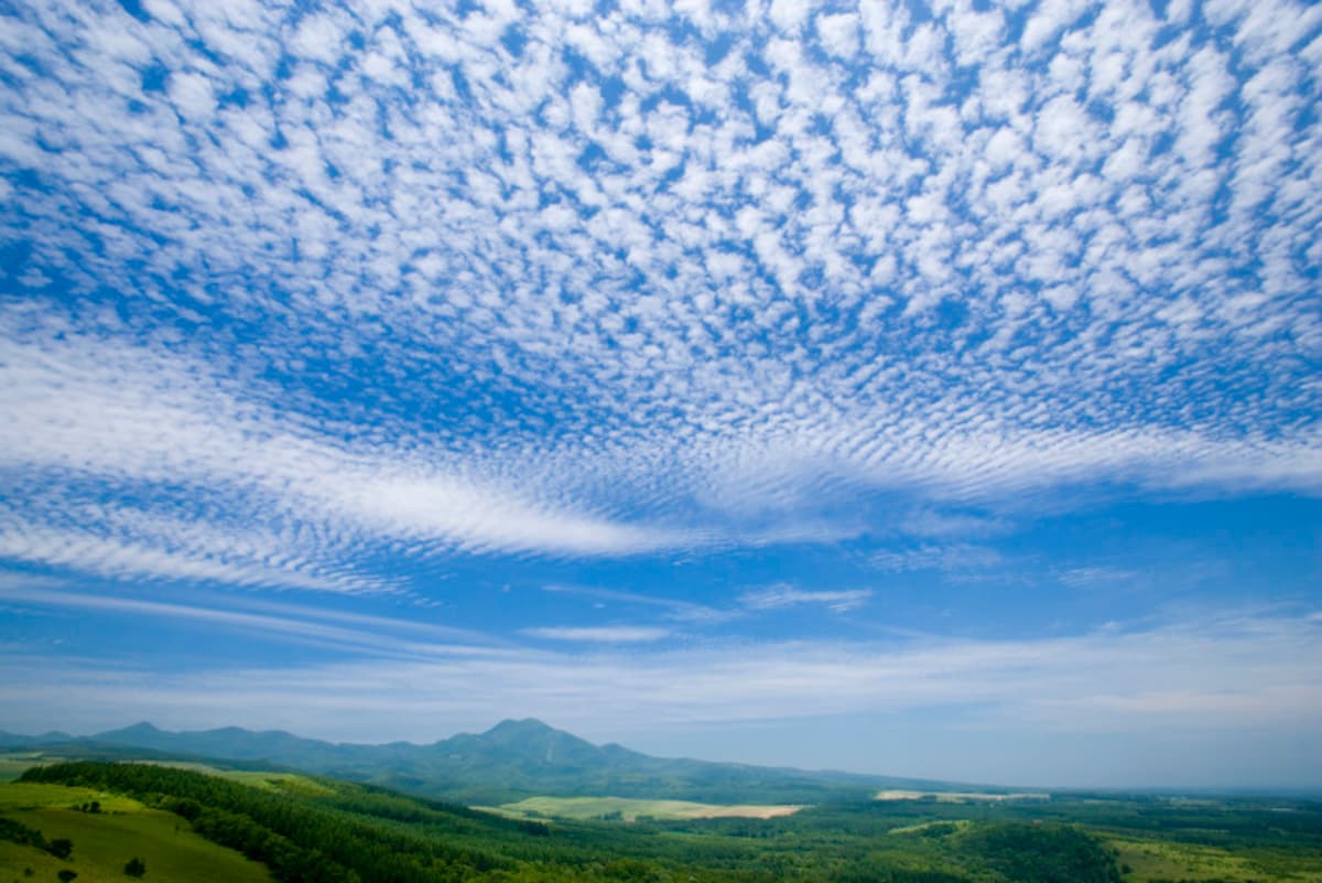 秋の雲：いわし雲