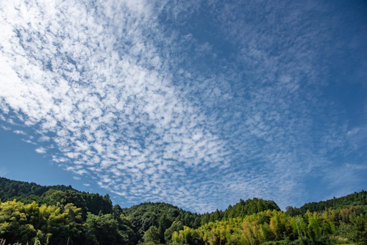 秋の雲：いわし雲