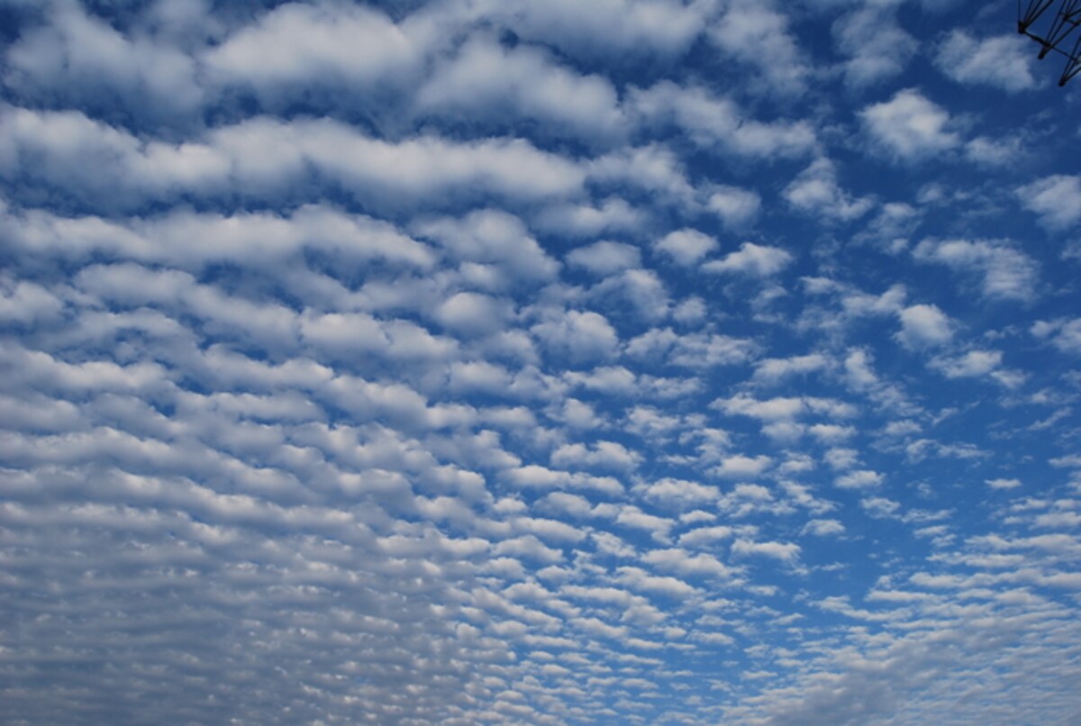 秋の雲：さば雲の一例