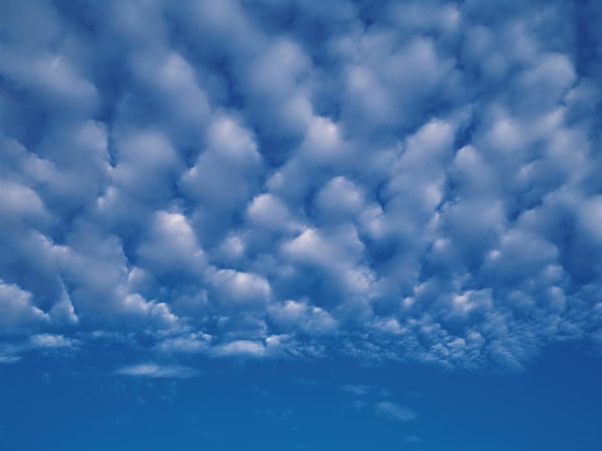 ひつじ雲のほうがかたまりが大きい