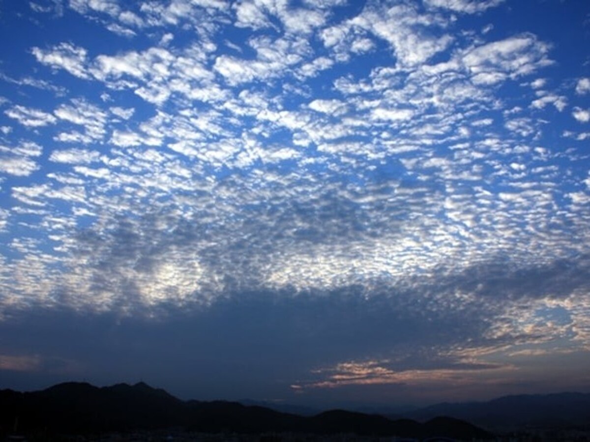 うろこ雲・さば雲・いわし雲・羊雲……秋の雲