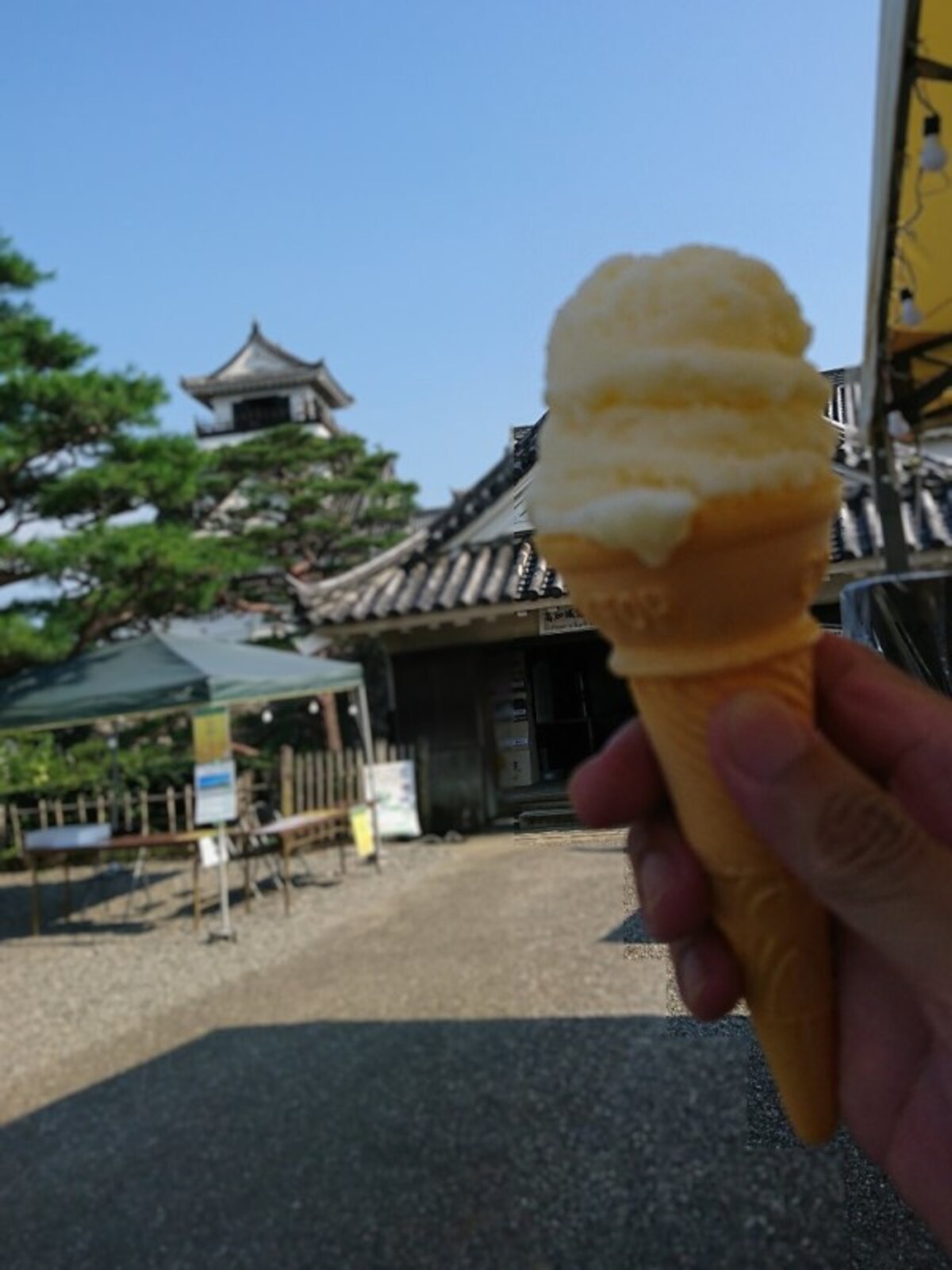 高知名物アイスクリン