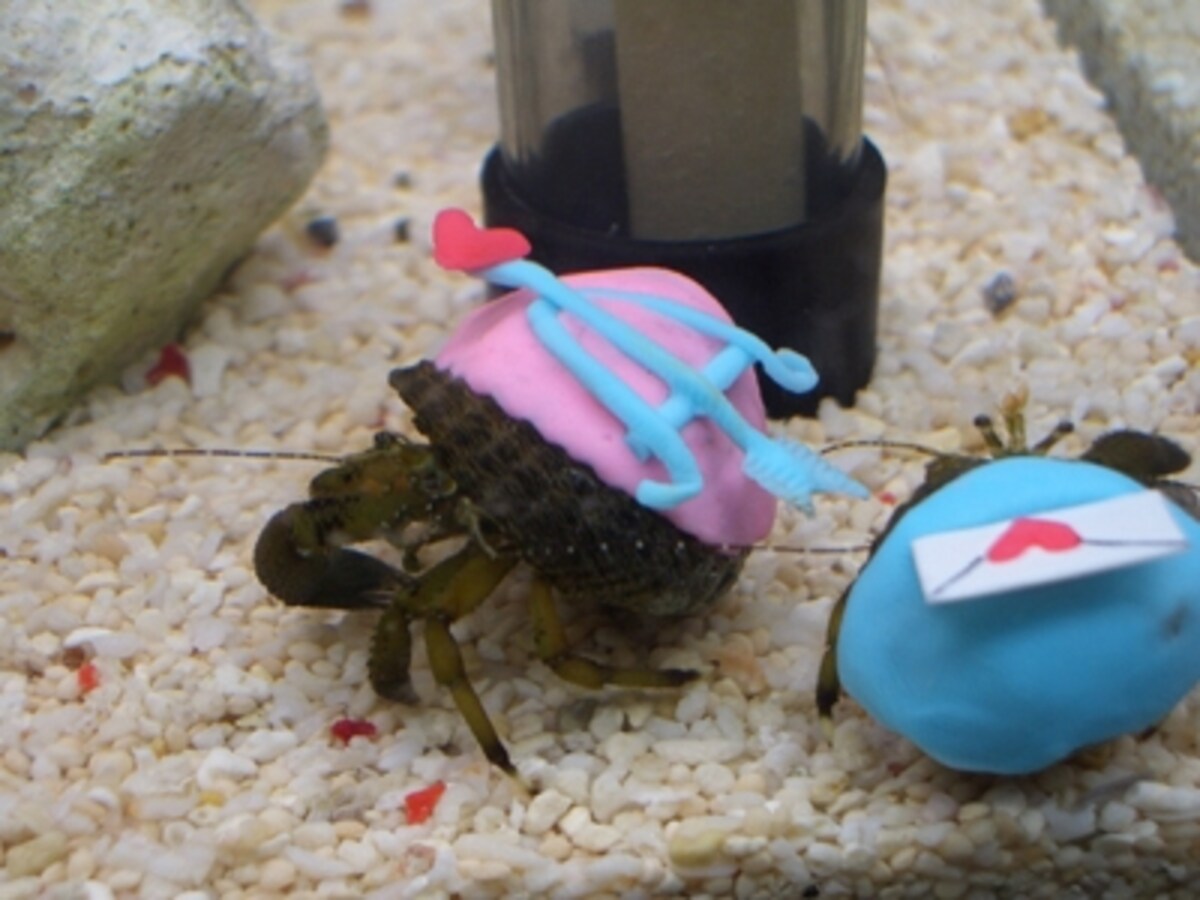 マリンワールド海の中道