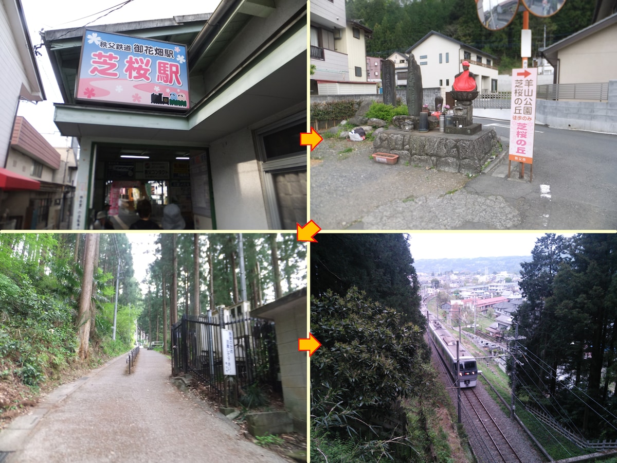 秩父鉄道 御花畑駅（芝桜駅）から羊山公園への歩き方