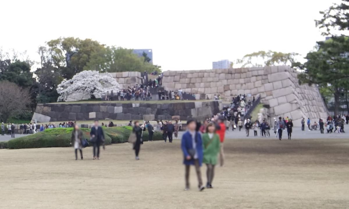 皇居東御苑の桜（1）／江戸城の天守台と桜