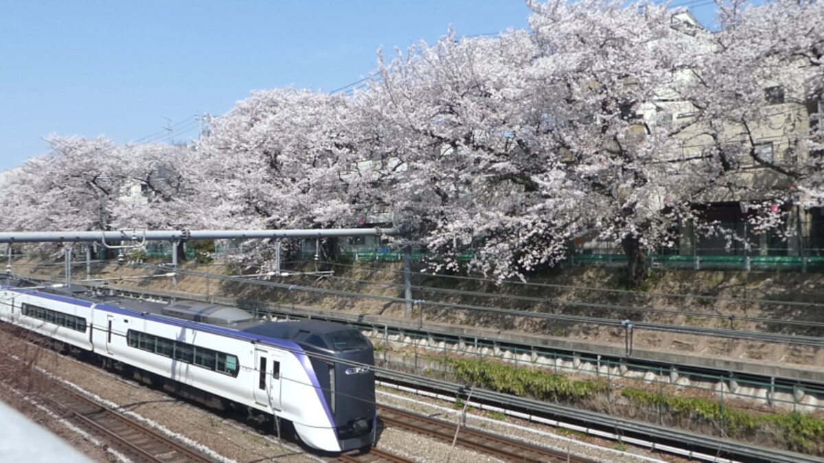 中央線特急「あずさ」「かいじ」