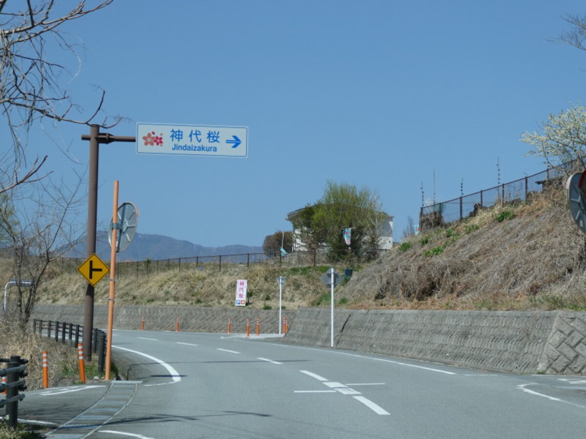 山高神代桜への道案内