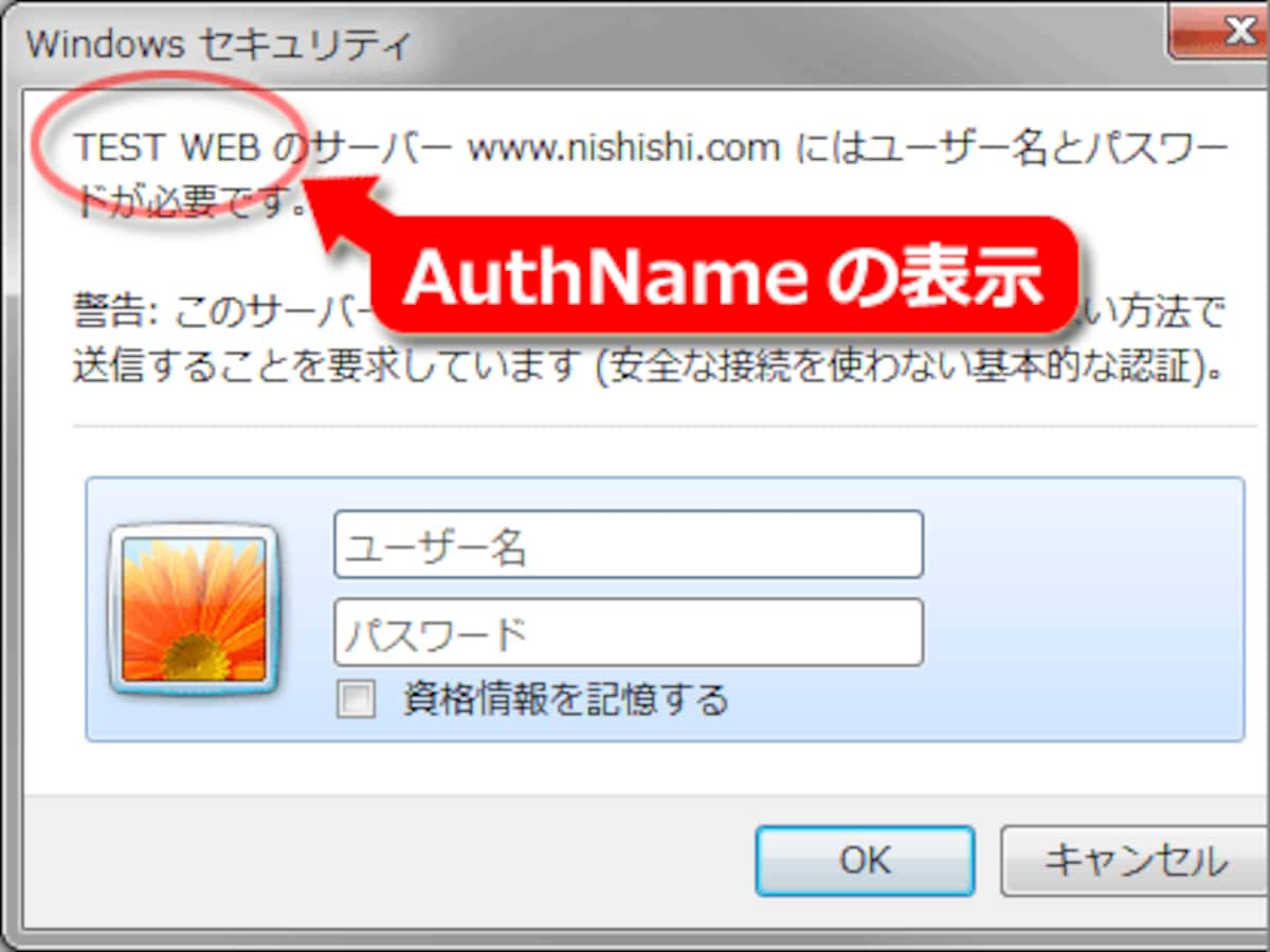 AuthName項目の表示(IE9の例)