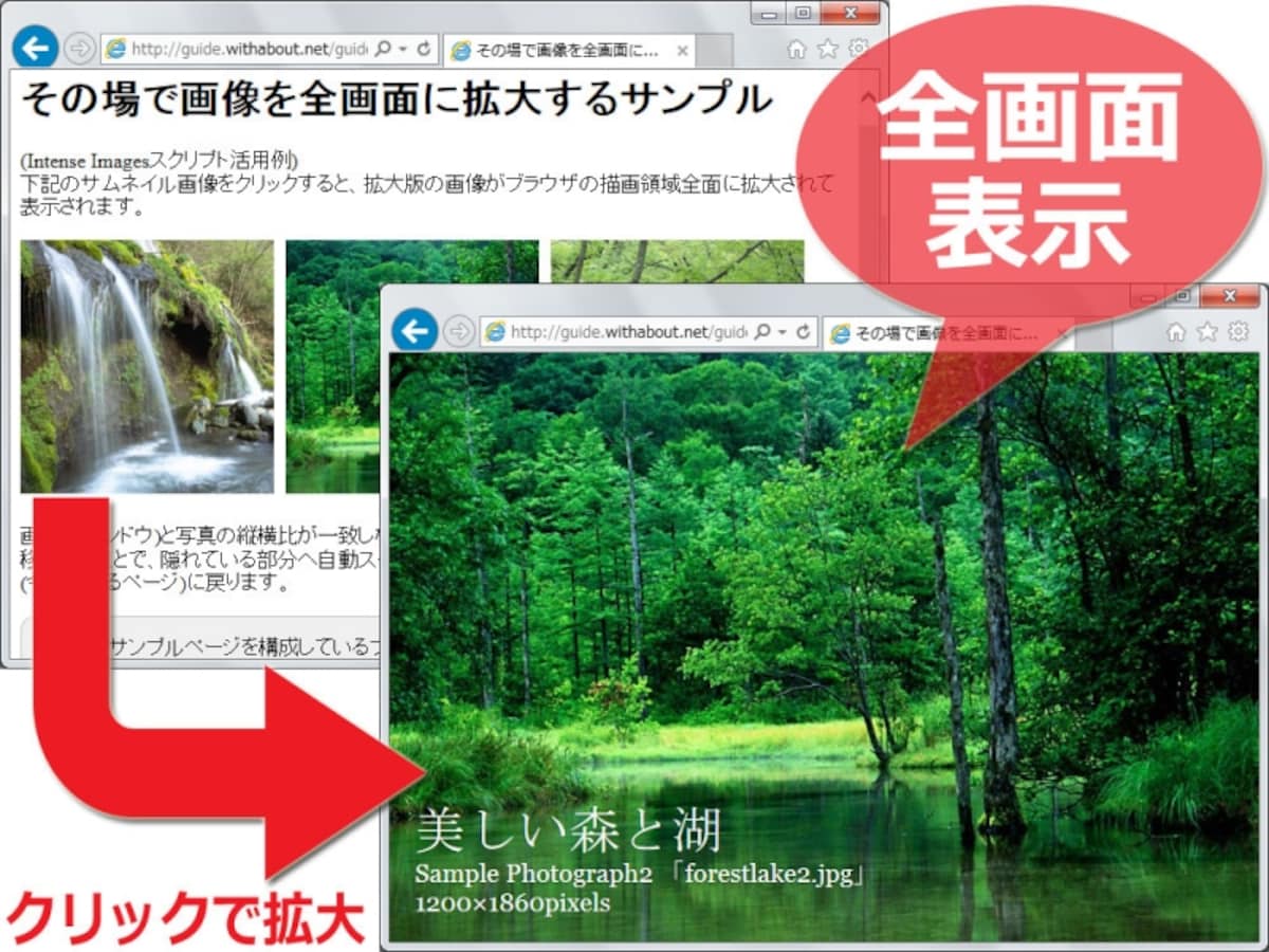 ブラウザのウインドウ(画面)全体を最大限に使って拡大画像を表示できるIntense Images