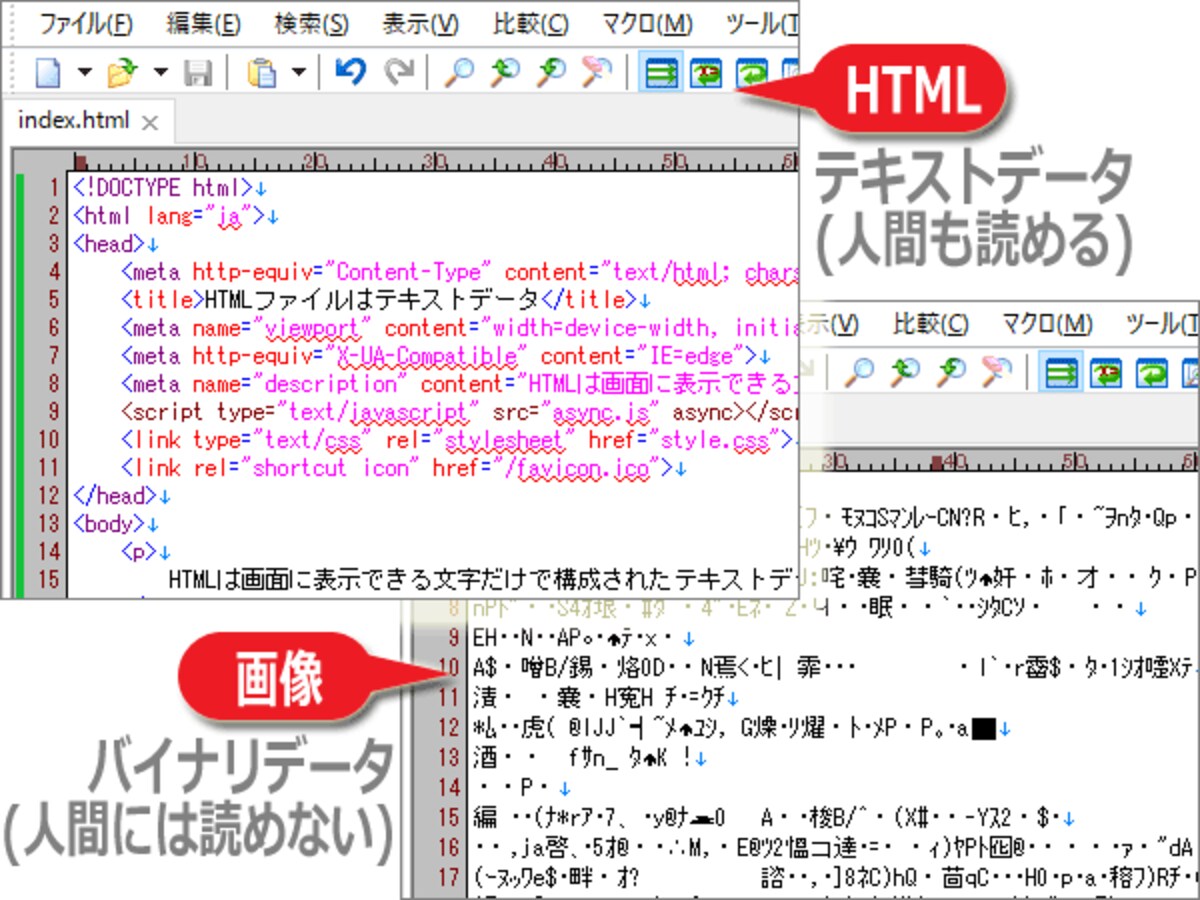HTMLはテキストデータだが、PNGやJPEG等の画像はバイナリデータ