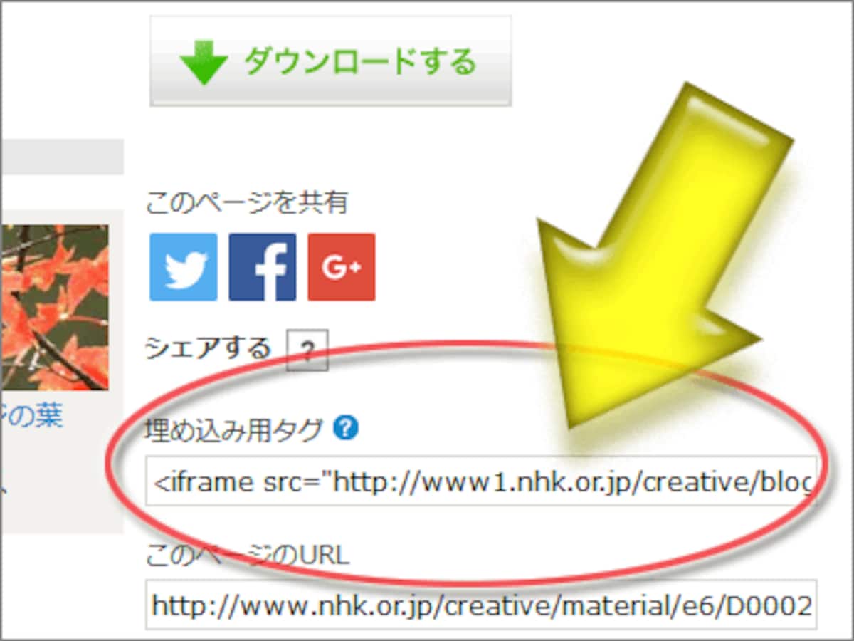 動画素材を自サイトに埋め込むためのHTMLタグ