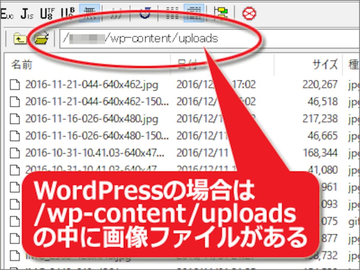 画像がアップロードされているディレクトリの中身を一括ダウンロードしておく