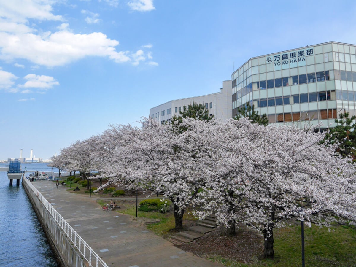 みなとみらいの風景を眺めながらお花見が楽しめる、カップヌードルミュージアムパーク（旧 新港パーク）（2020年4月2日撮影）