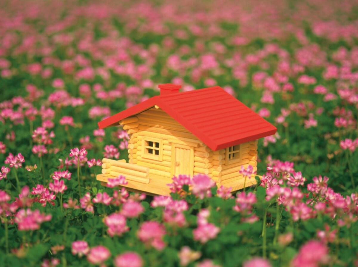 セルフビルドで夢の一戸建てを