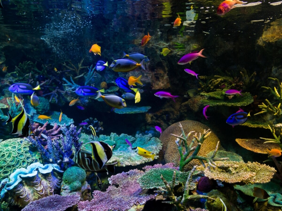 水族館