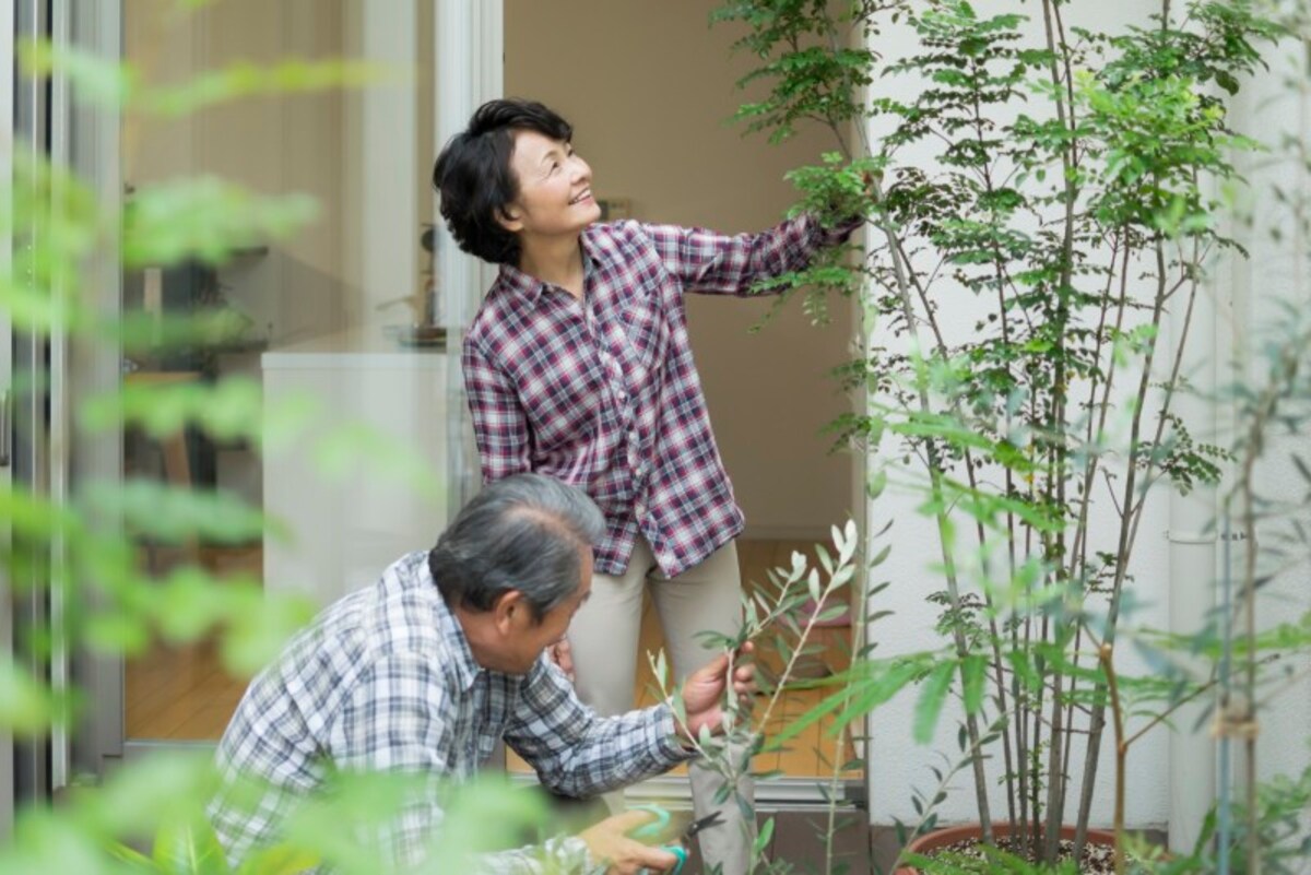ベランダの点検時などに移動できるよう、植物は植木鉢に植えましょう