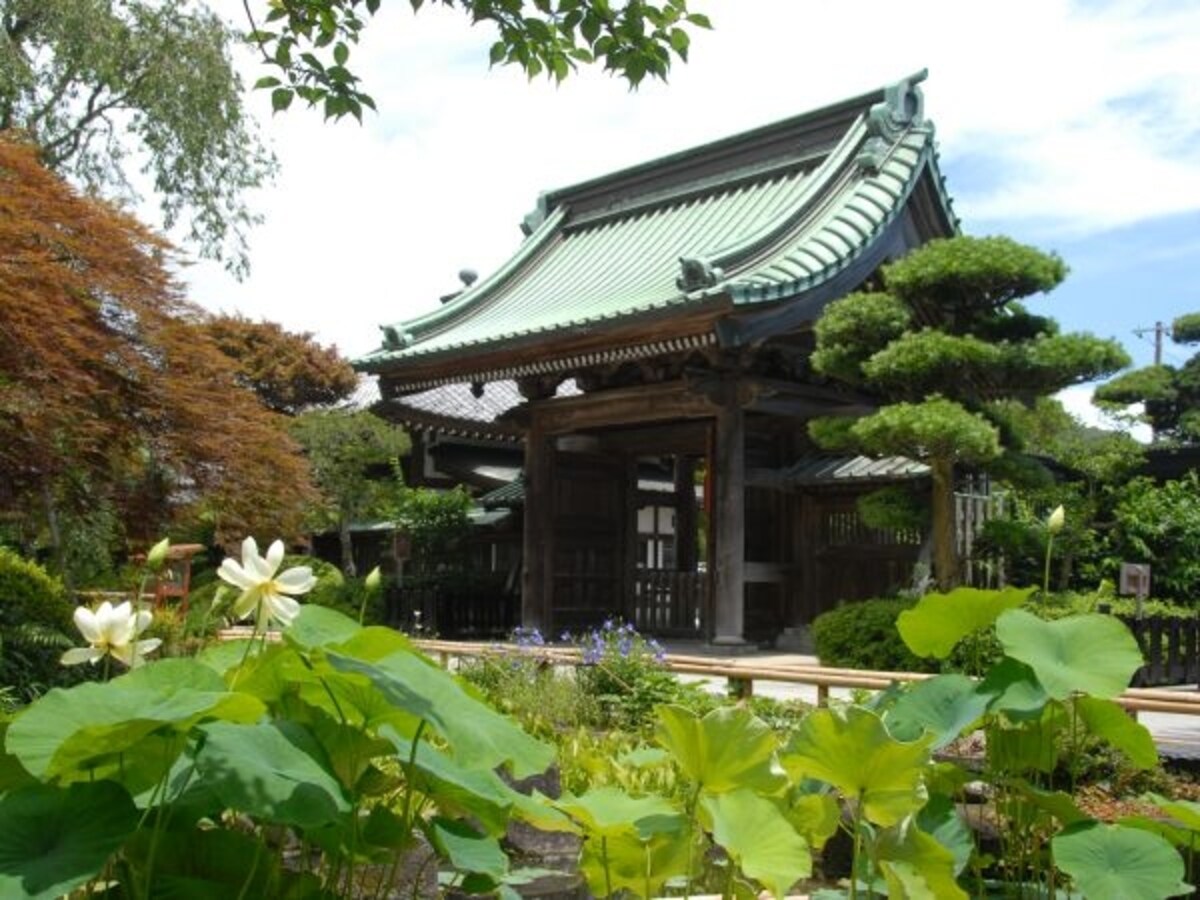 長谷寺放生池