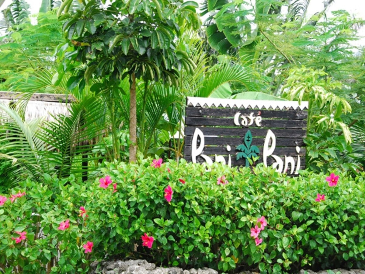 PANI PANI