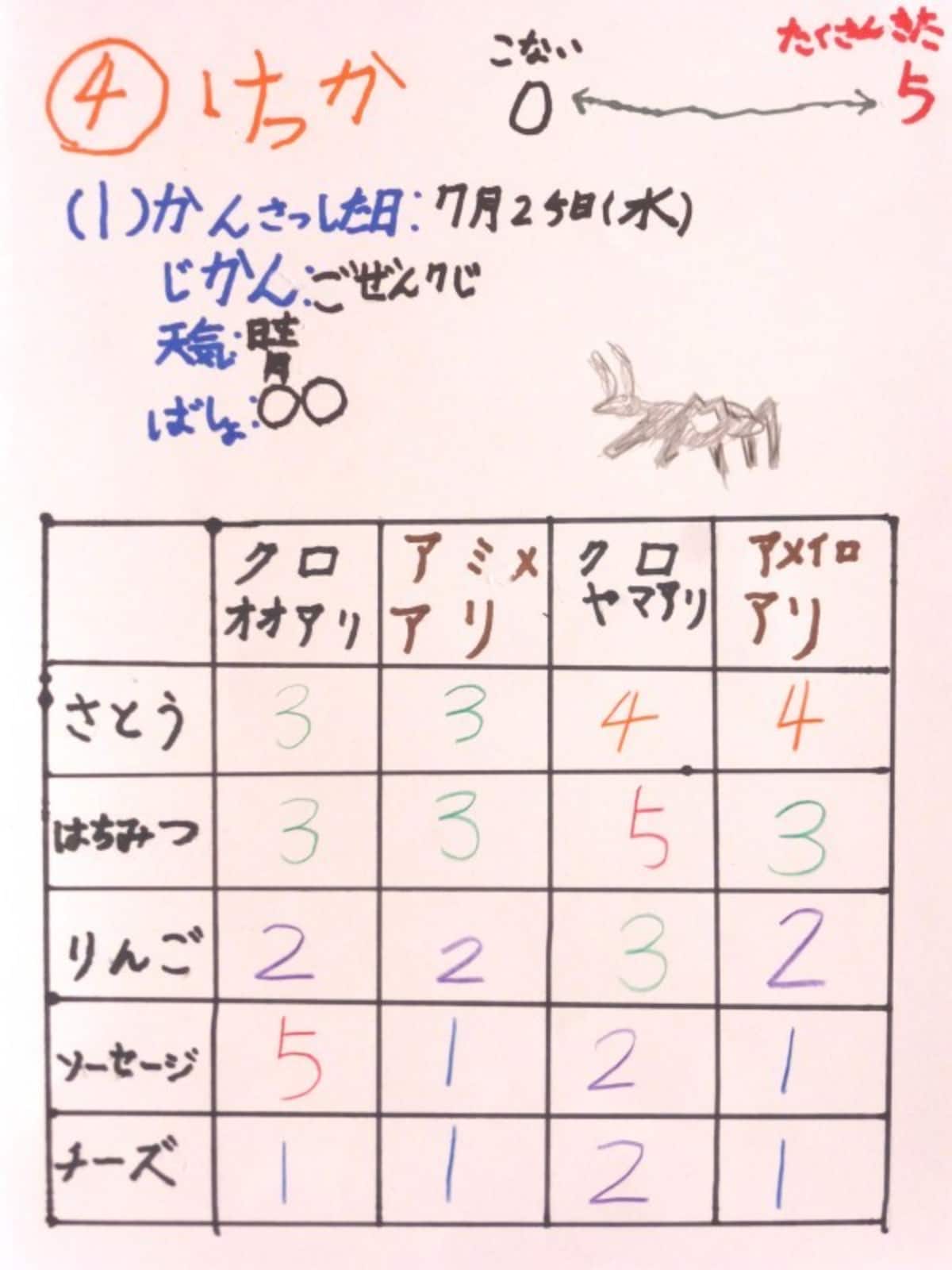 画用紙で自由研究まとめ方…消えない筆記用具で書くのが基本ですが、1年生で難しい場合は色鉛筆や濃い鉛筆でも。見出しなど、ポイントだけでもペンを使うと見栄えよく仕上がる