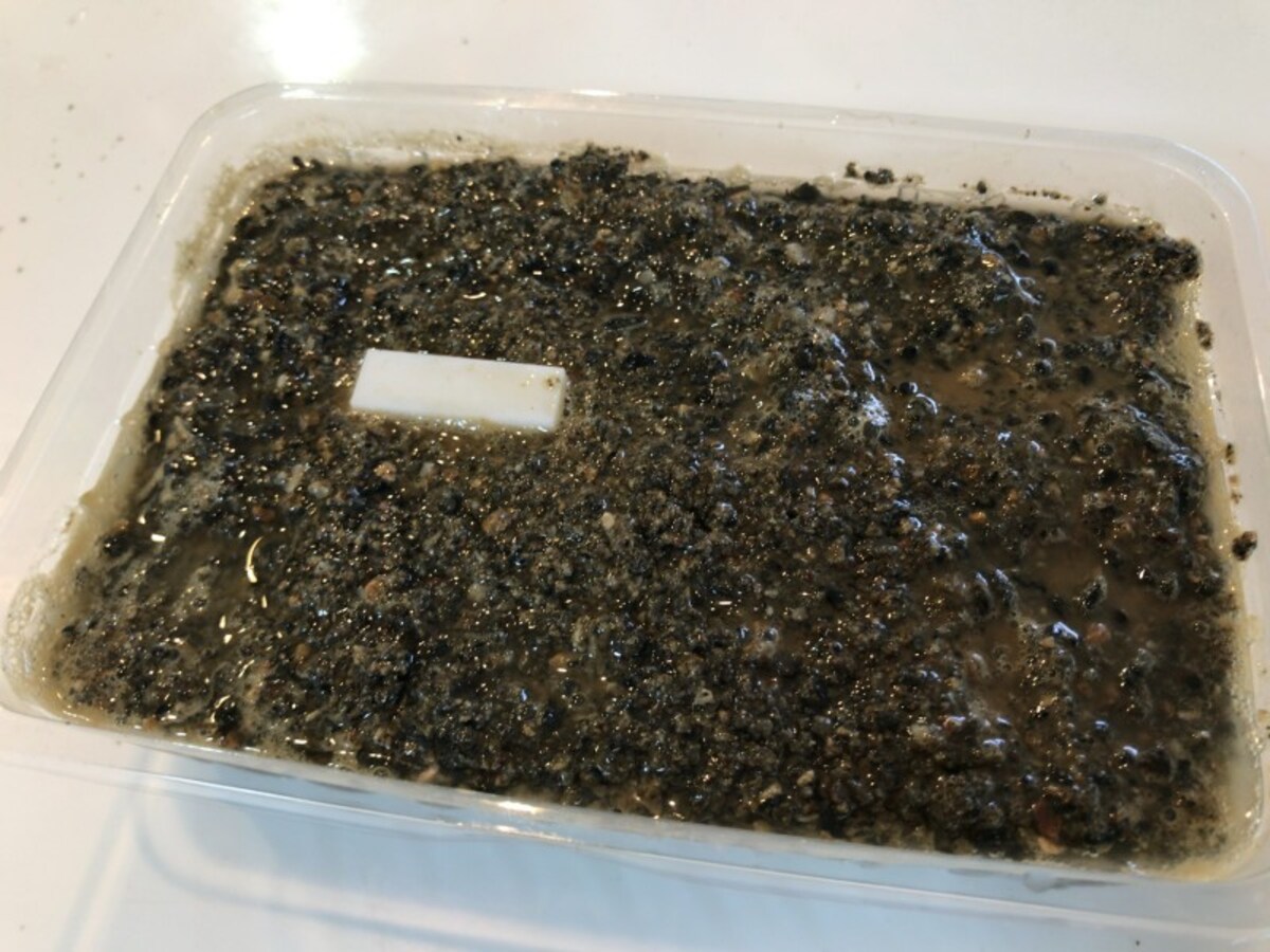 液状化,実験,自由研究,地震