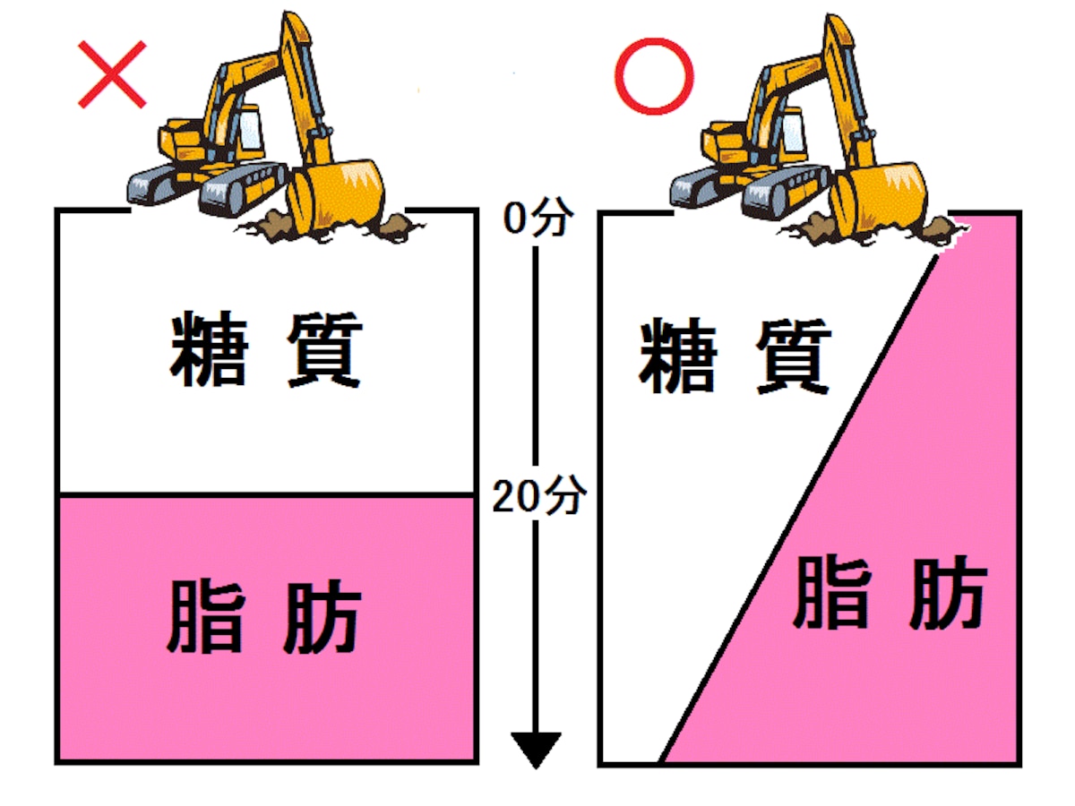 糖質と脂肪の燃焼モデル