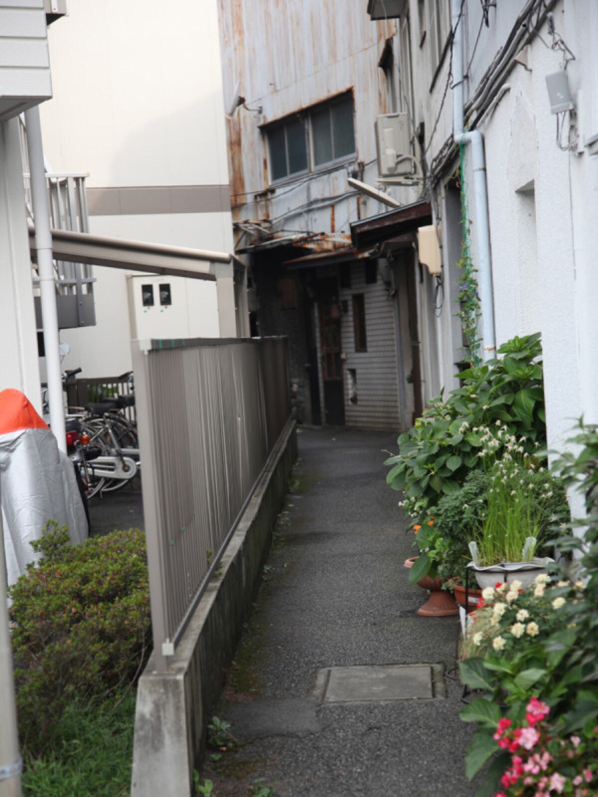道路との接し方