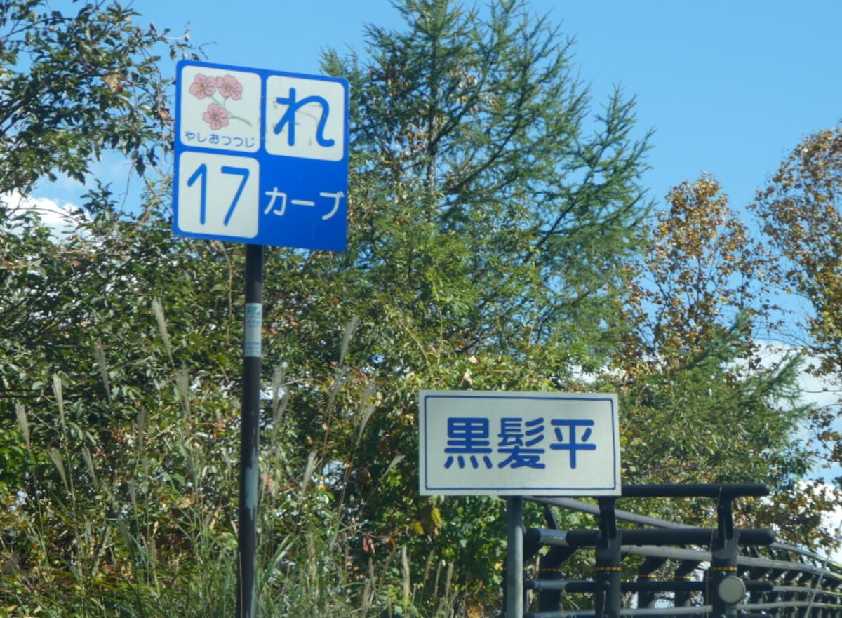 いろは坂のカーブの標識