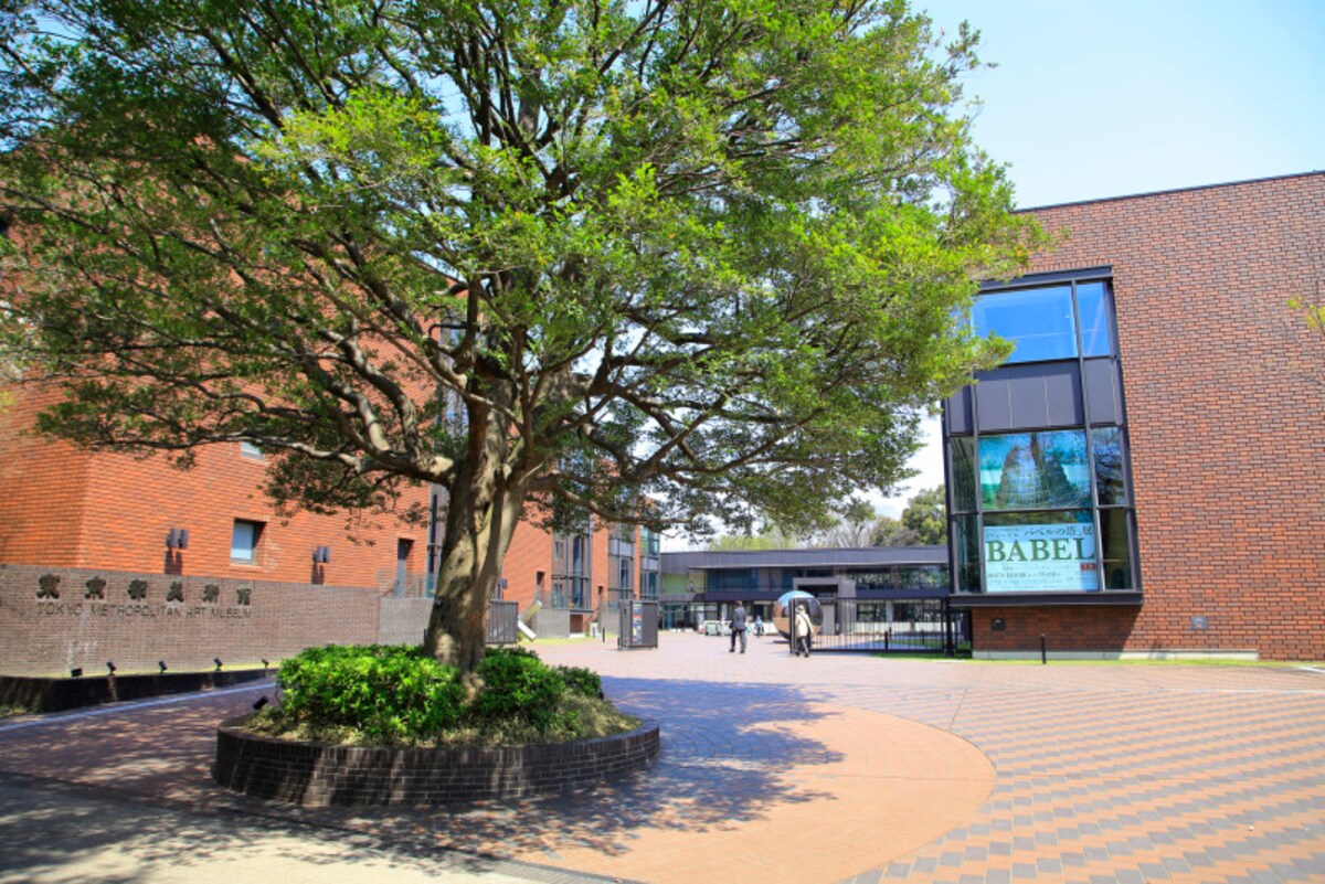 美術館の学割料金は社会人学生も利用可