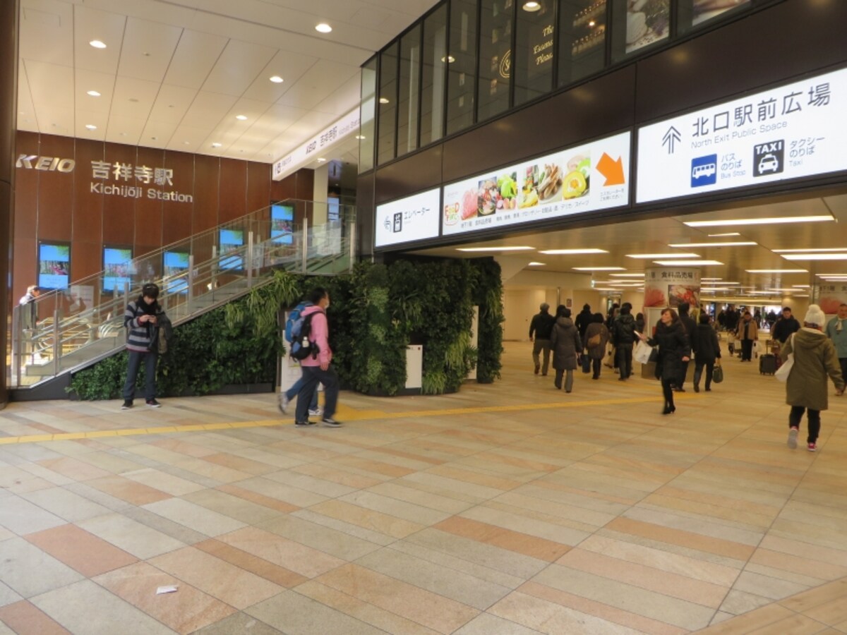 南北自由通路