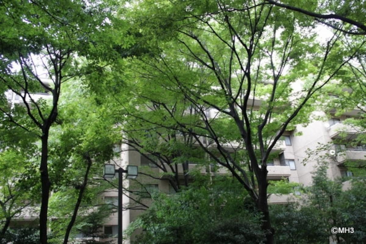 森のような植栽