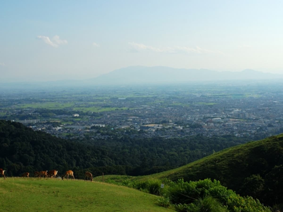 若草山からの風景