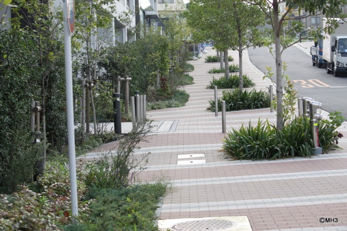 緑も豊かな広い歩道