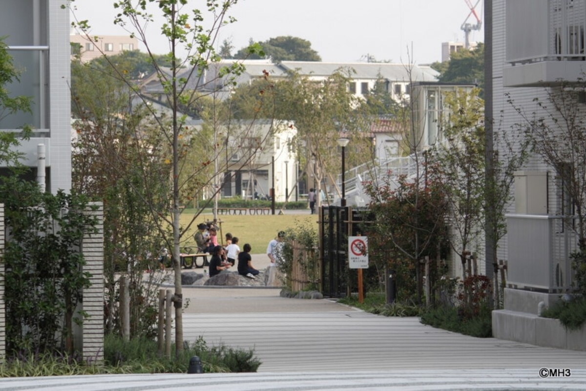 公園と地域を結ぶ、敷地中央の開放道路