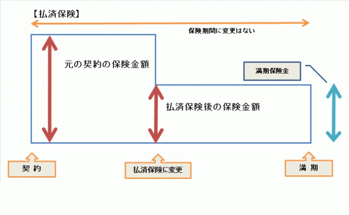 払済保険とは？
