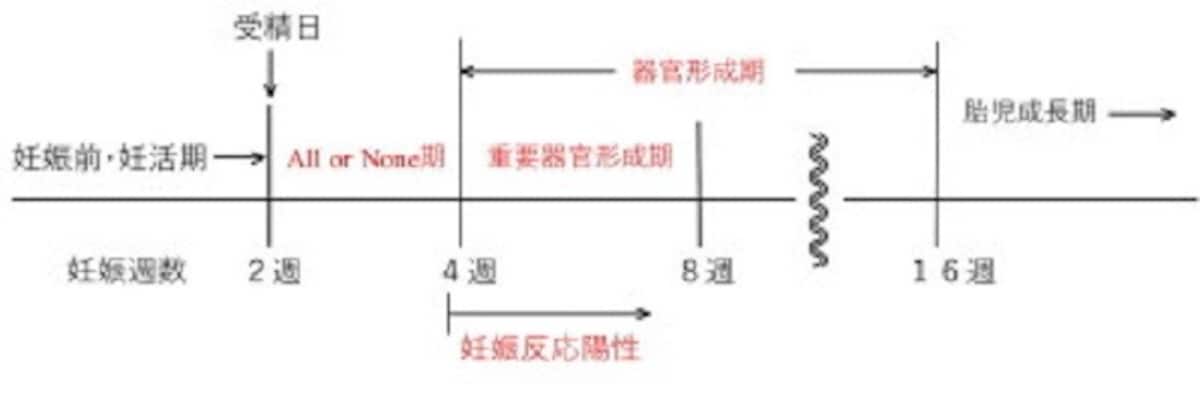 妊娠中に飲んでもいい薬、飲んではいけない薬