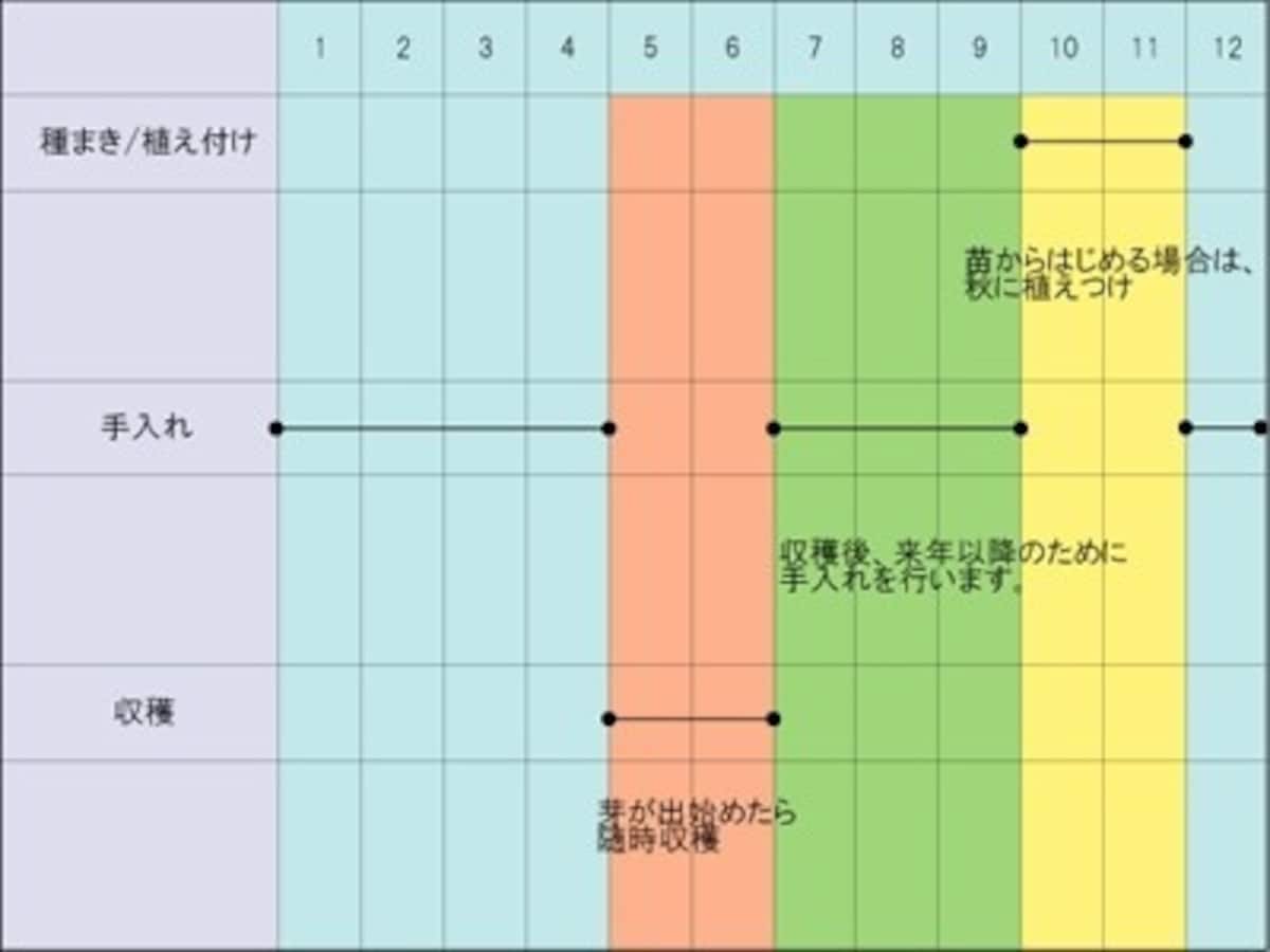 アスパラガスの栽培スケジュール