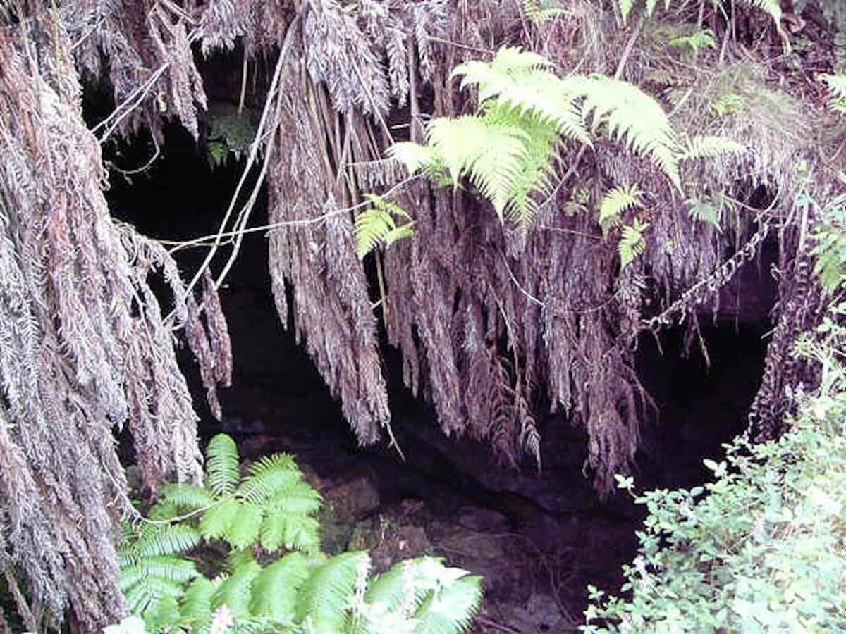 溶岩トンネル