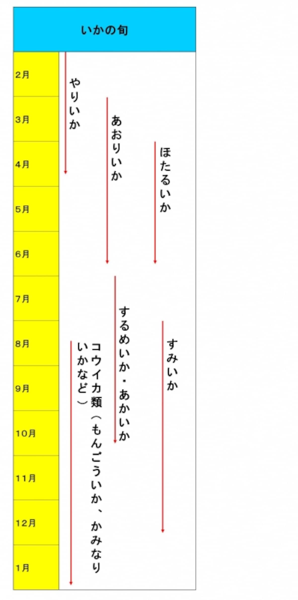 いかは年間通して食べることができます（クリックして拡大）