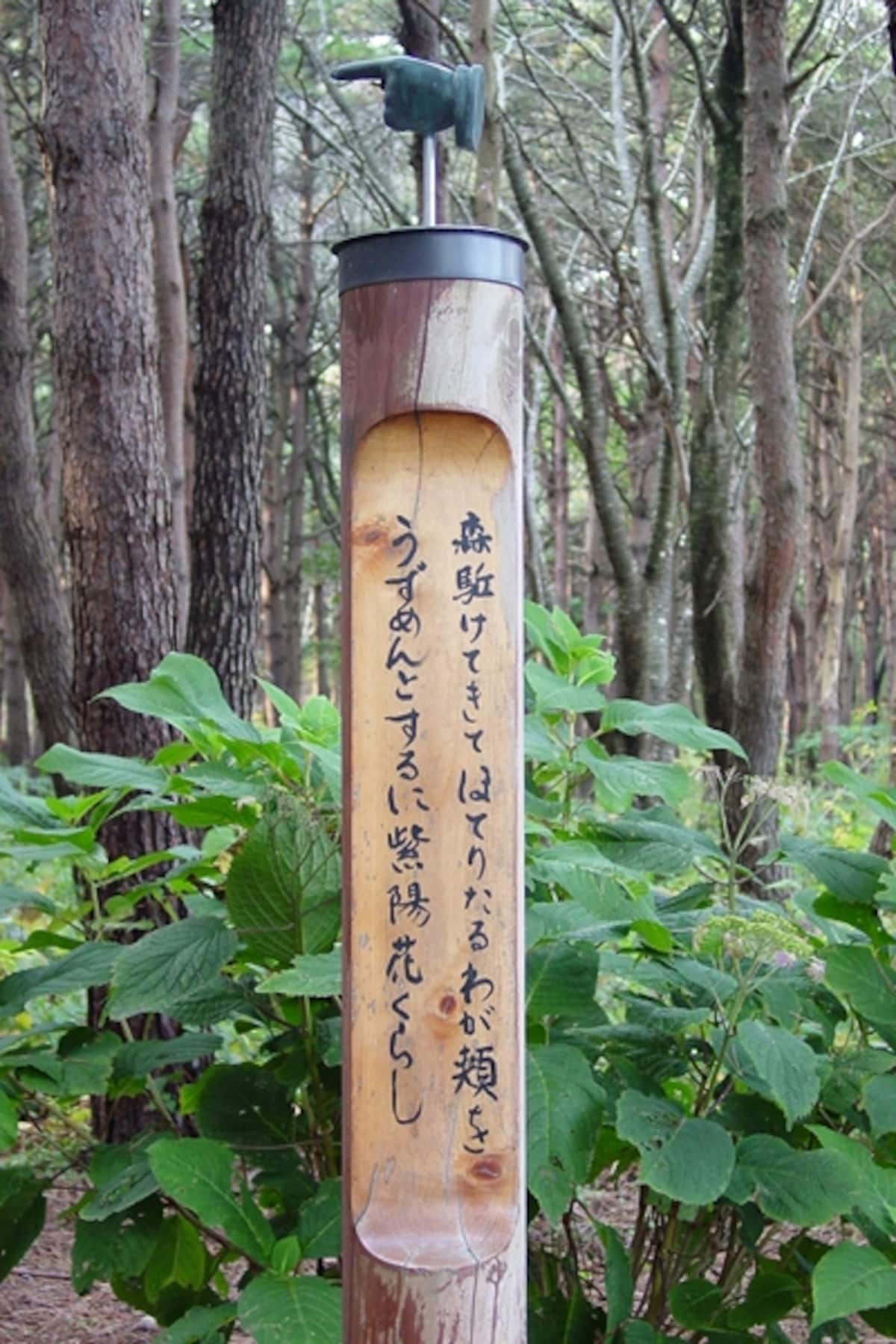 遊歩道に並ぶ「短歌の道標（みちしるべ）」