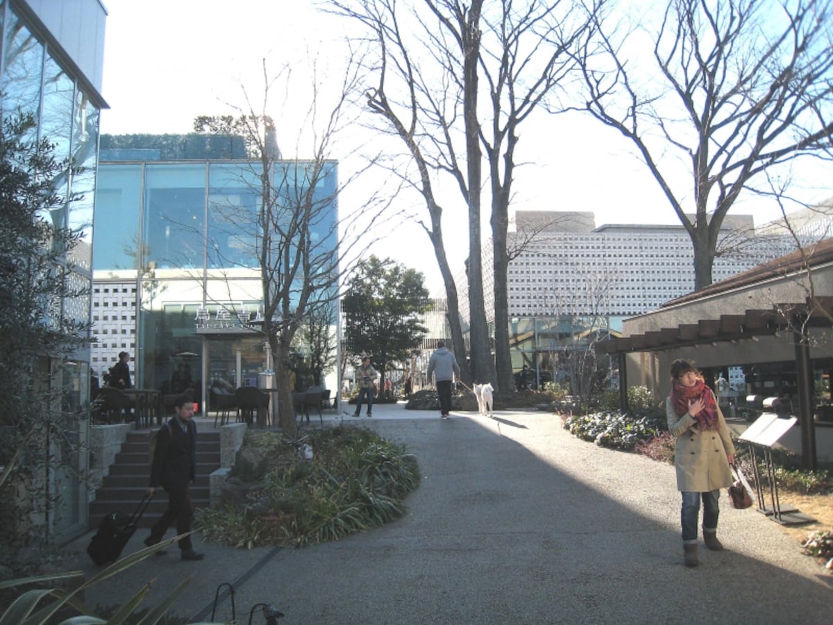 蔦屋書店
