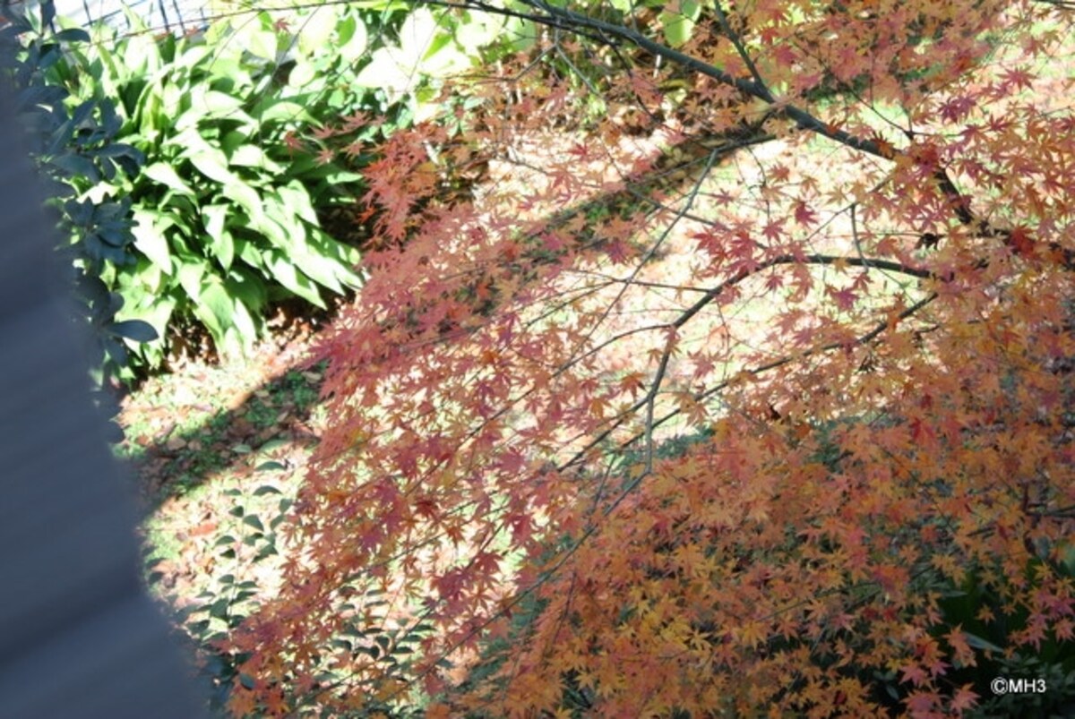 主寝室からの眺め